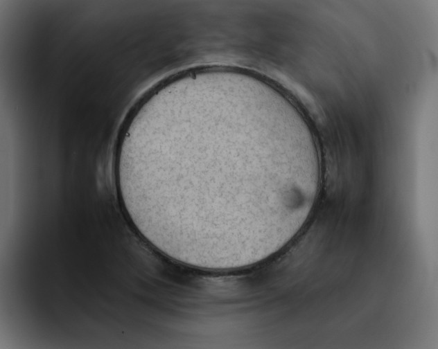 X0000092051272200710031036