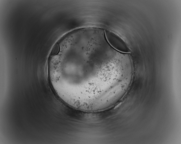 X0000092051275200710031036