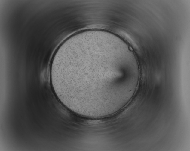 X0000092051276200710031036