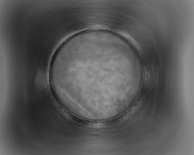 X0000092051278200710031036