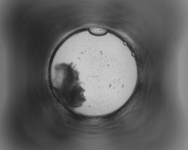 X0000092051279200710031036