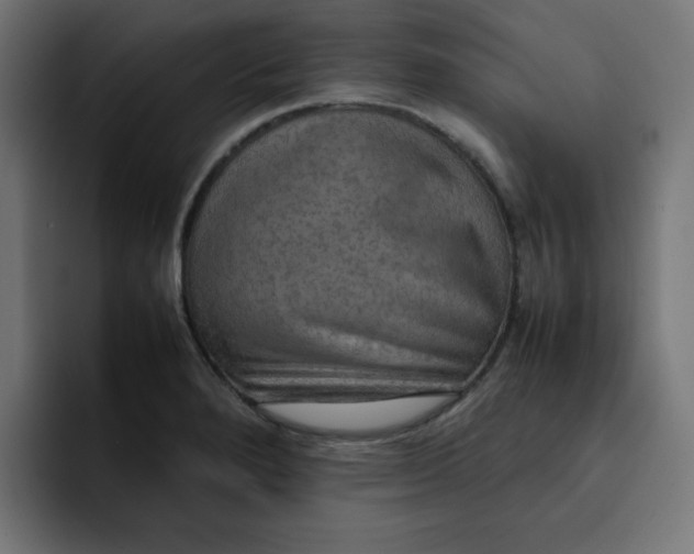 X0000092051280200710031036