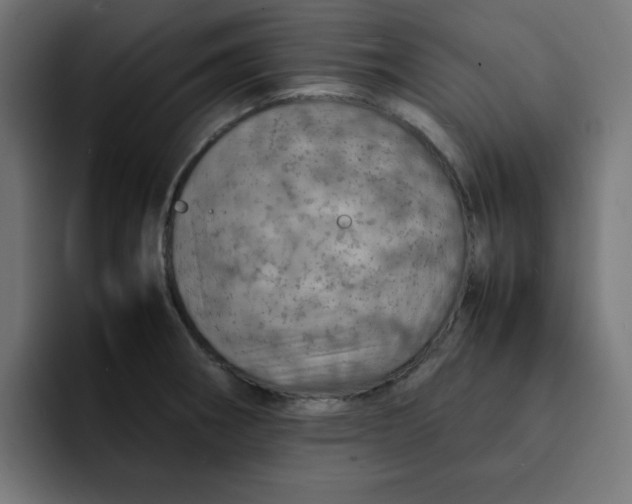 X0000092051282200710031036