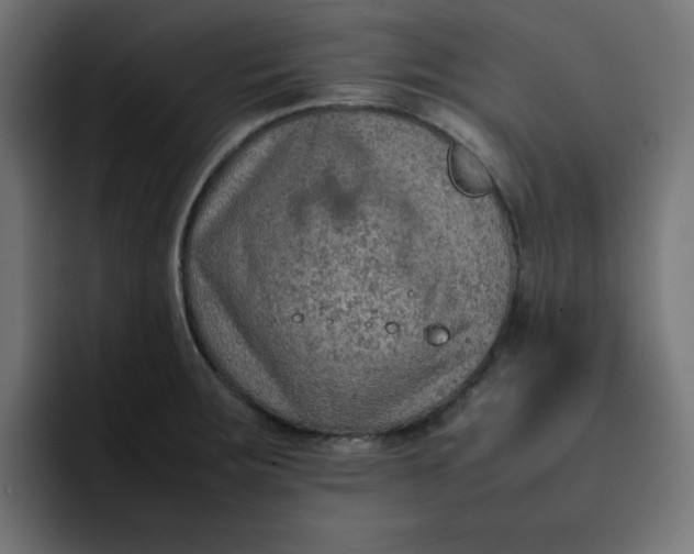 X0000092051283200710031036