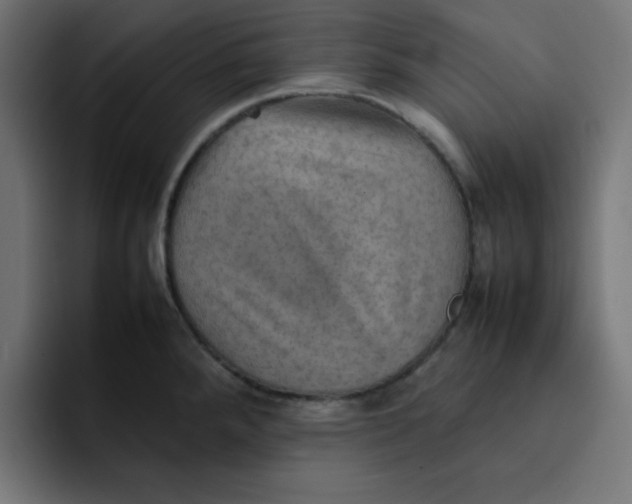 X0000092051288200710031036