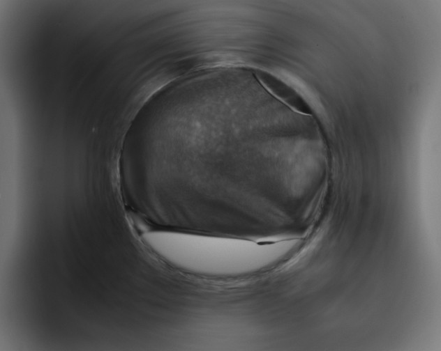 X0000092051289200710031036