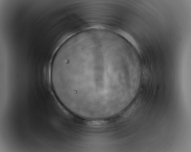 X0000092051290200710031036