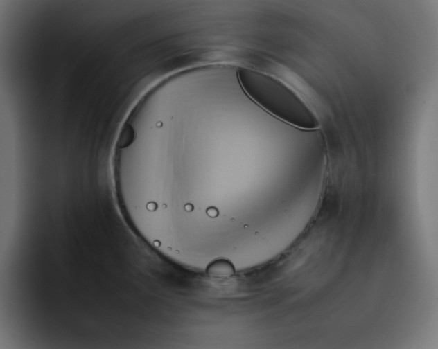 X0000092051291200710031036