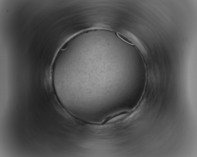 X0000092051292200710031036