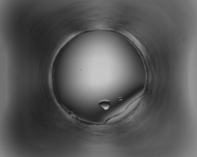 X0000092051293200710031036