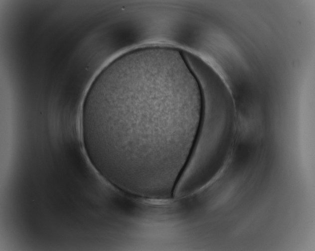 X0000092051295200710031036