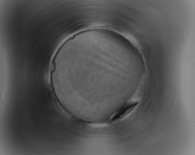 X0000092051296200710031036