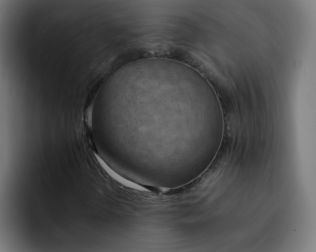 X0000092051298200710031035