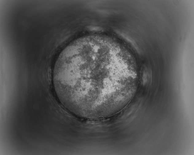 X0000092051301200710031035