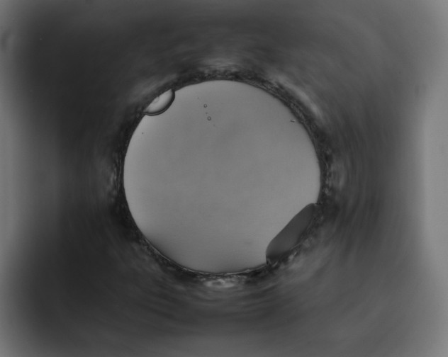 X0000092051303200710031035