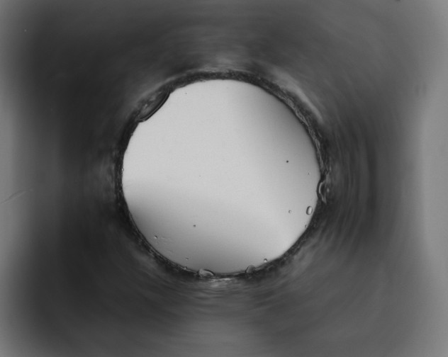 X0000092051304200710031035