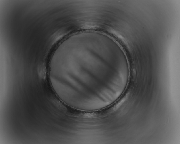 X0000092051306200710031035