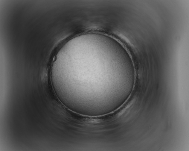 X0000092051309200710031035