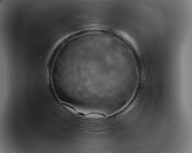 X0000092051310200710031035