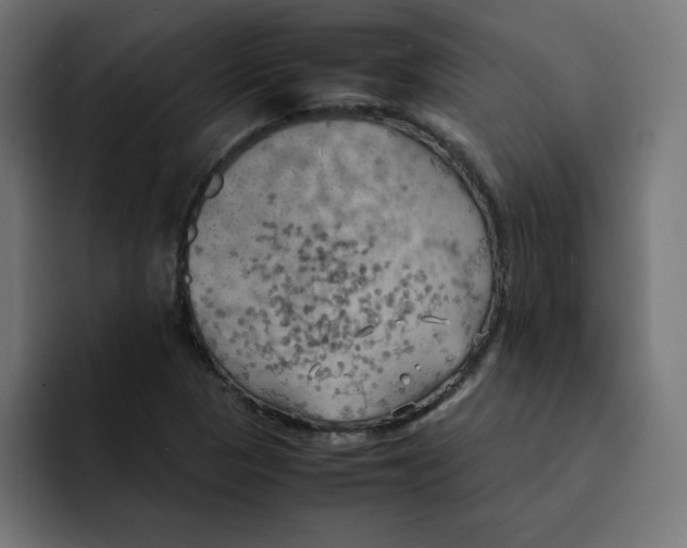 X0000092051313200710031035