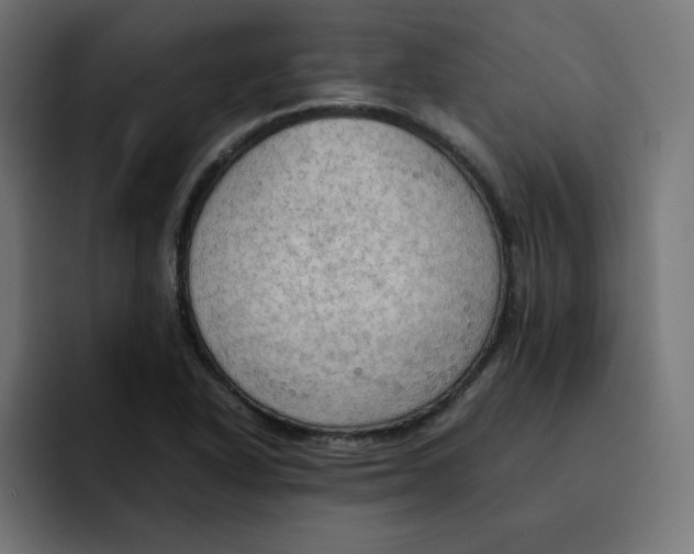 X0000092051318200710031035