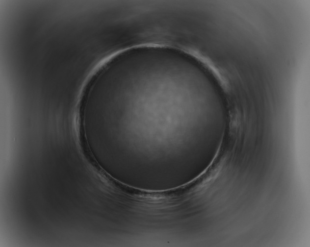 X0000092051319200710031035