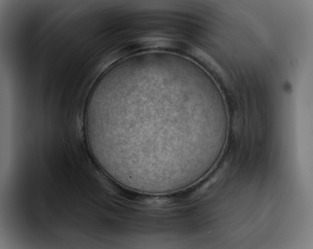 X0000092051321200710031035