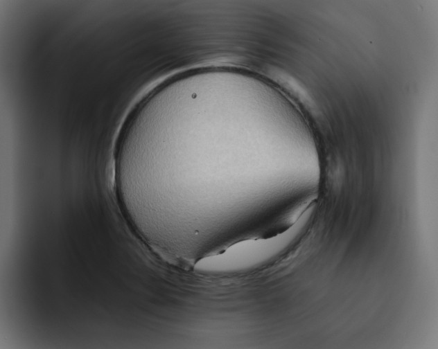 X0000092051324200710031035