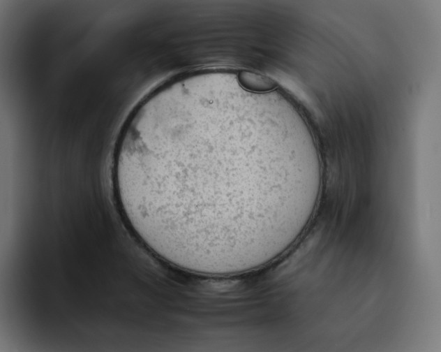 X0000092051325200710031035