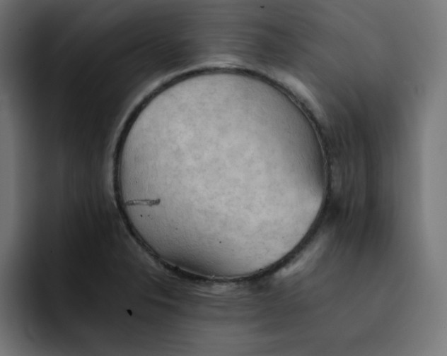 X0000092051326200710031035