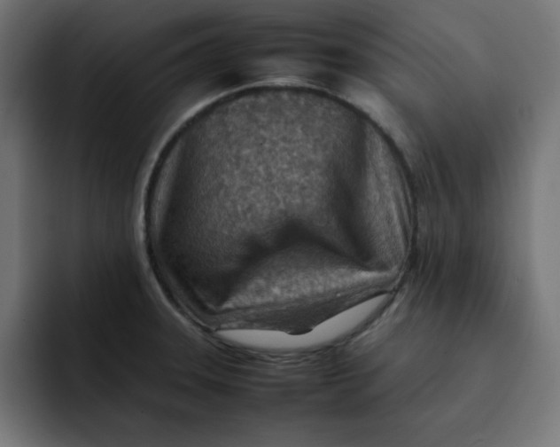 X0000092051331200710031035