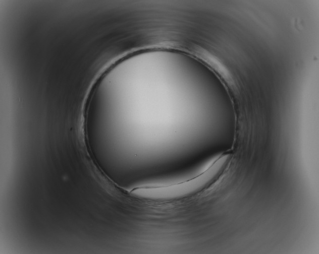 X0000092051332200710031035