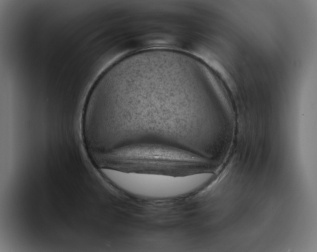 X0000092051333200710031035