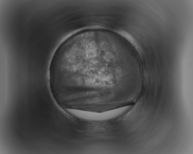 X0000092051335200710031035