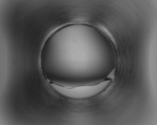 X0000092051336200710031036