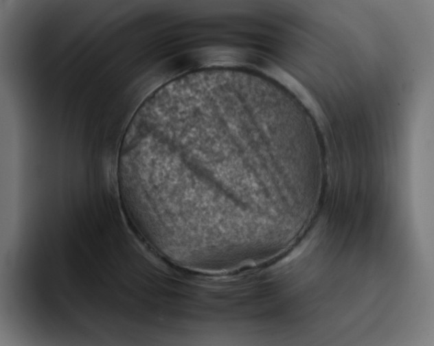 X0000092051337200710031036