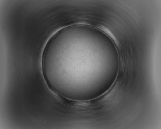 X0000092051339200710031036