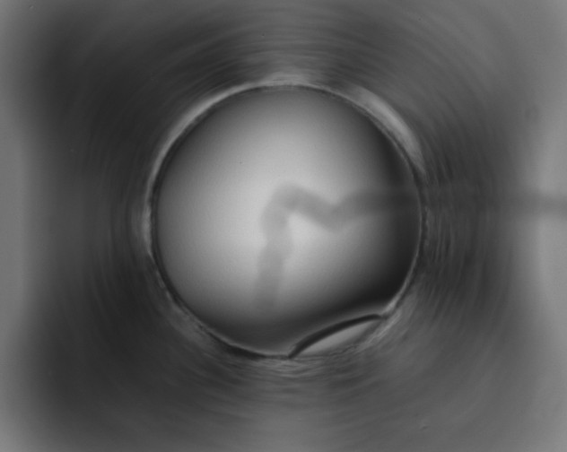 X0000092051340200710031036