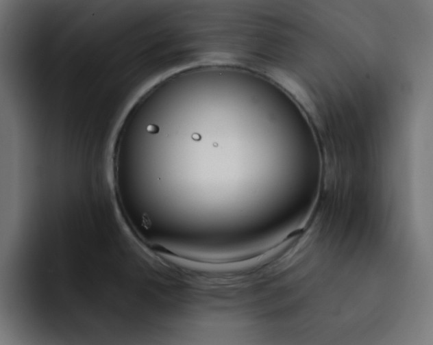 X0000092051342200710031036