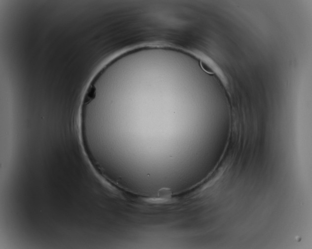 X0000092051343200710031036