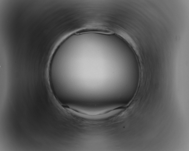 X0000092051344200710031036