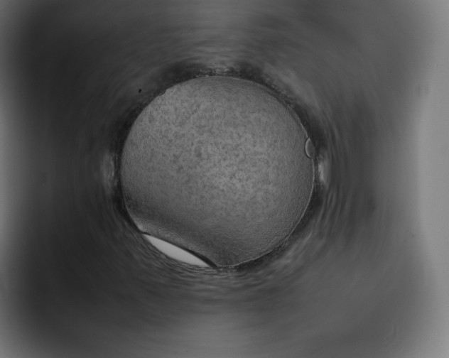 X0000092051347200710031035