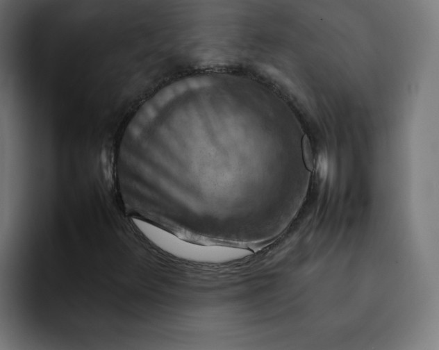 X0000092051348200710031035