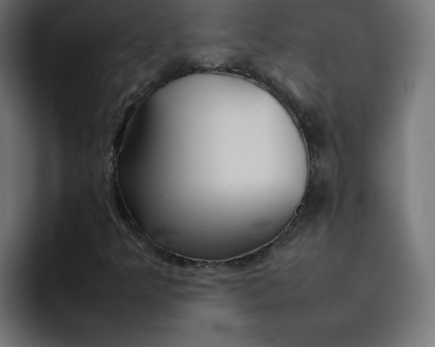 X0000092051349200710031035