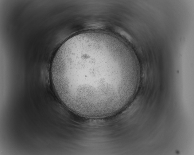 X0000092051354200710031035