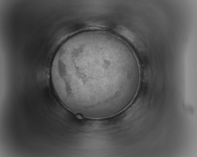 X0000092051355200710031035