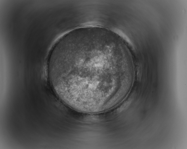 X0000092051358200710031035