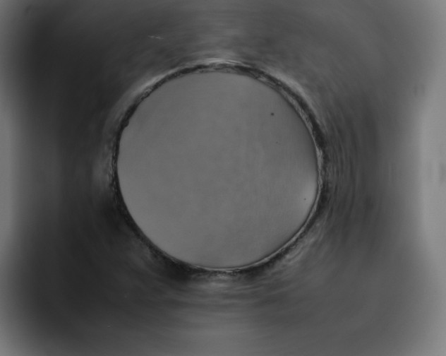 X0000092051359200710031035