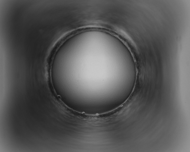 X0000092051360200710031035