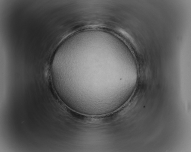 X0000092051361200710031035